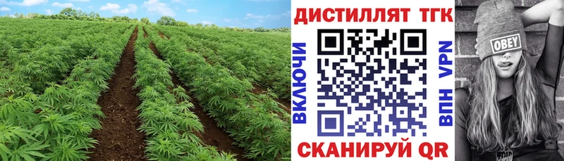 ТГК Wax  Купить  Касли 