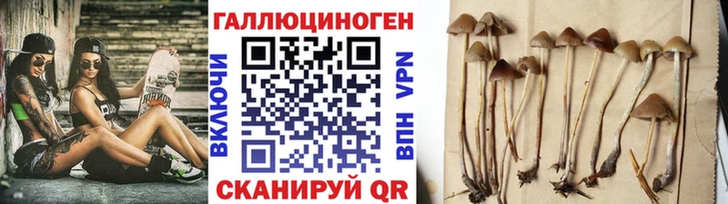 Купить закладки  Касли  Псилоцибиновые грибы мухоморы 